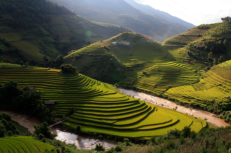 Sa Pa Terrace, Vietnam