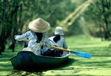 Vietnam Travel Guide