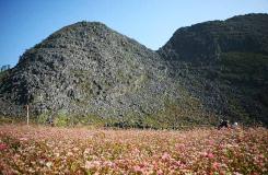 Ha Giang