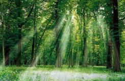 Cuc Phuong National Park