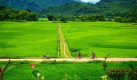 Mai Chau