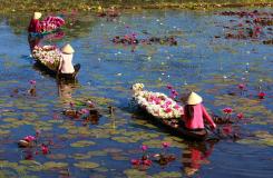 Mekong Delta