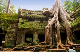 Cambodia Photos