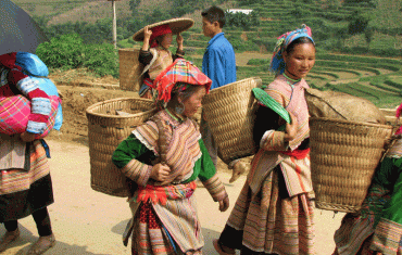 Vietnam Family Tour with Sapa 16 days