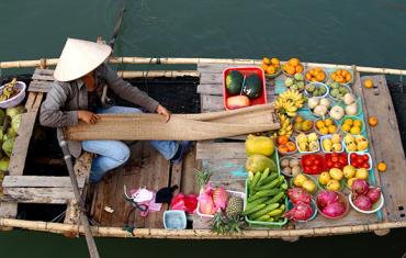 Vietnam Insight 14 days
