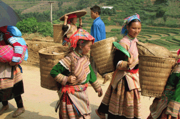 Vietnam Family Tour with Sapa 16 days