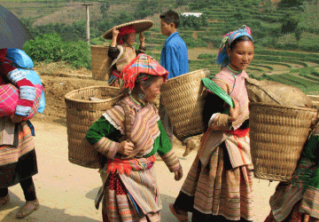 Vietnam Family Tour with Sapa 16 days