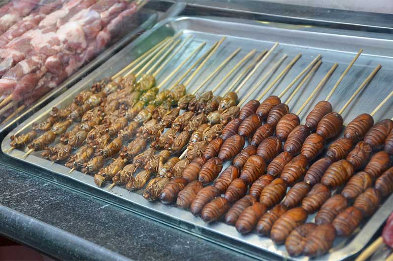 Grilled Insects, Cambodia