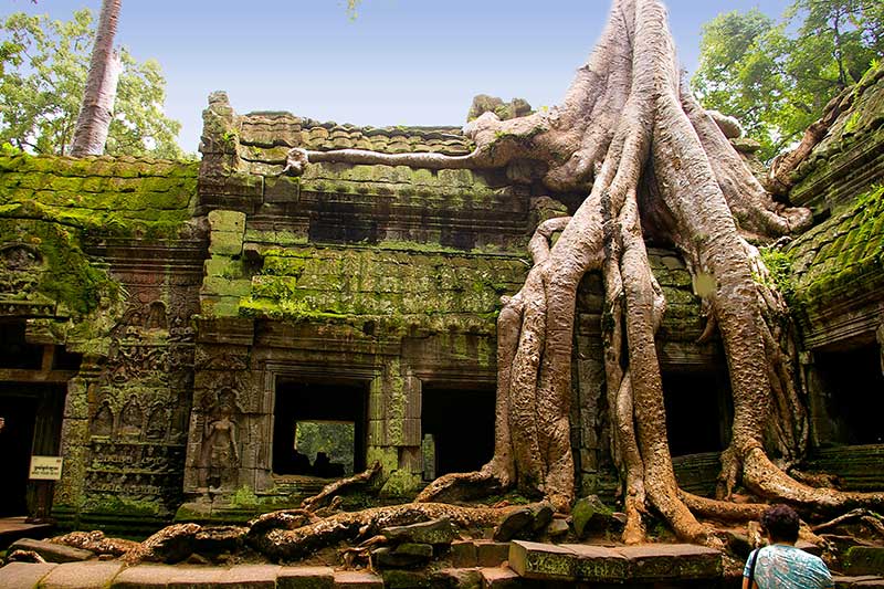 Cambodia Customized Tours - Ta Prohm