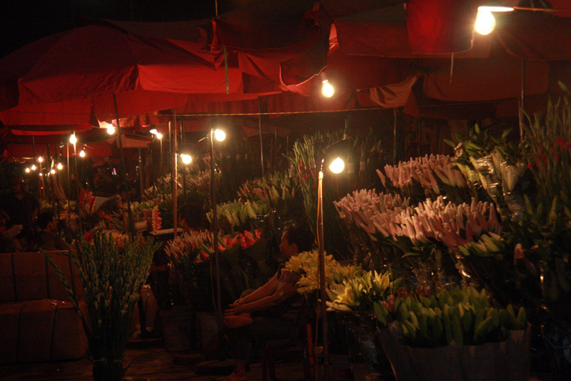 Quang An Flower Market Vietnam Family Holidays