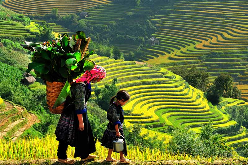 Trekking in Sapa