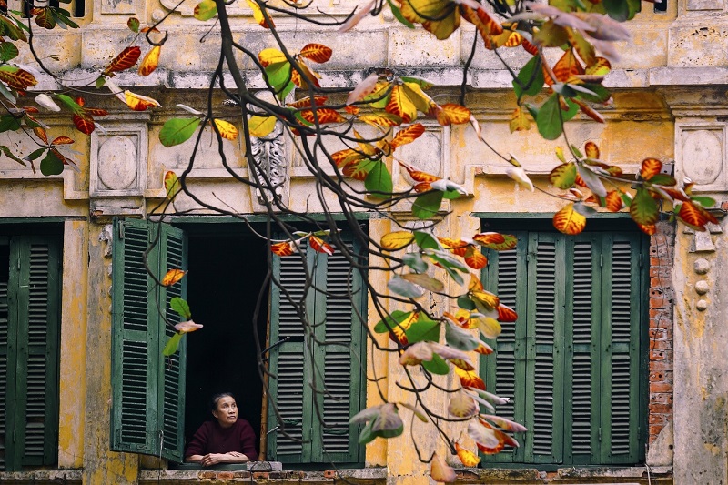 hanoi autumn