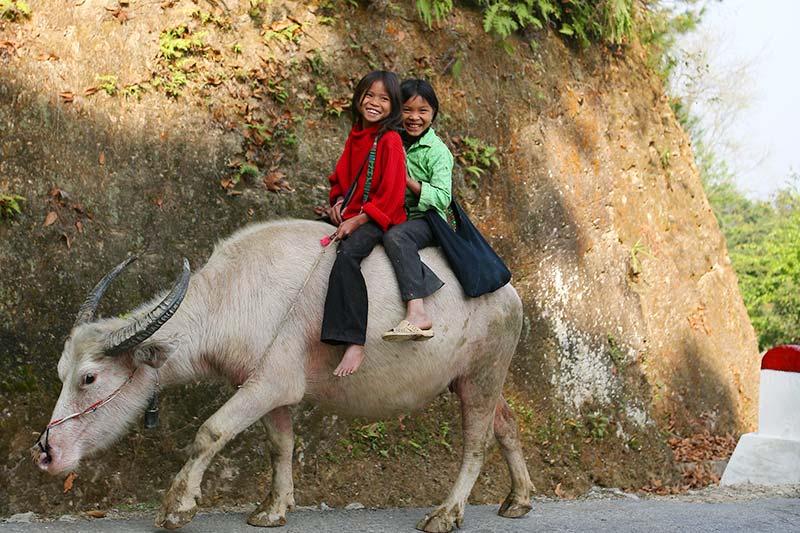 Ethnic kids in Ha Giang