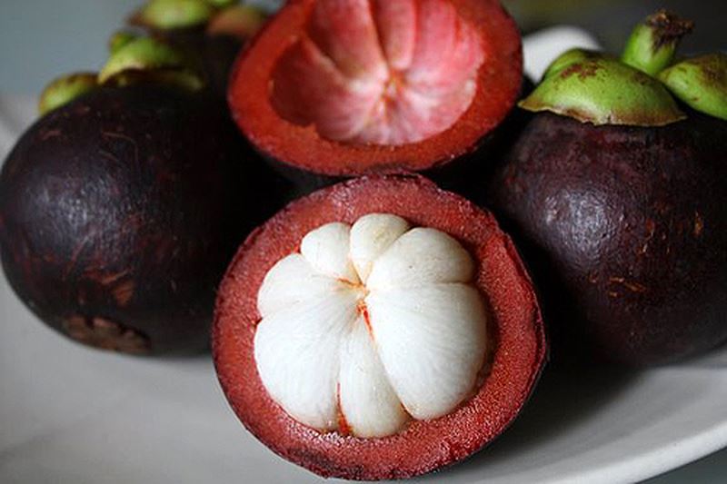 mangosteen