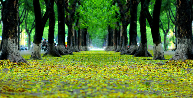 hanoi autumn