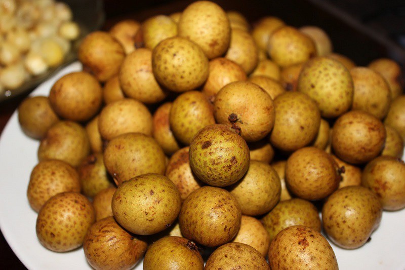 longan