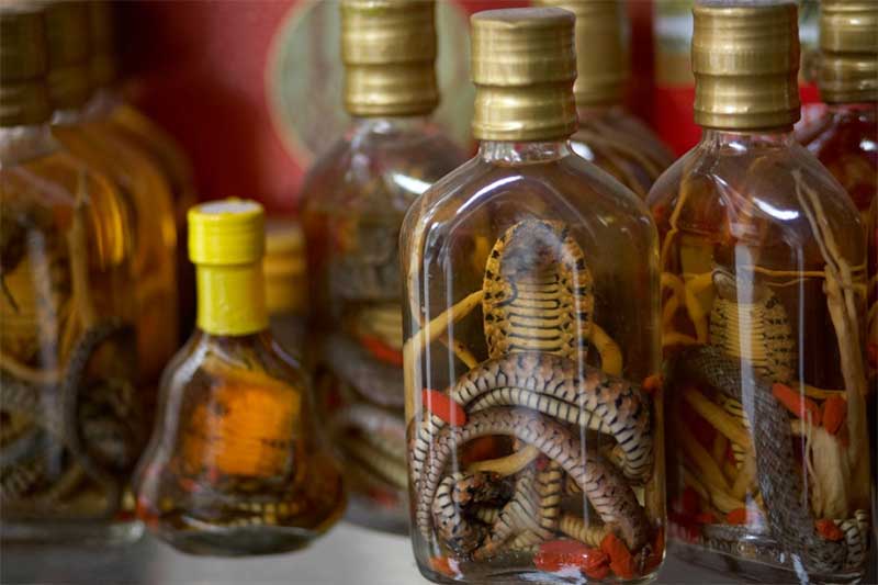 Snake wine in Vietnam