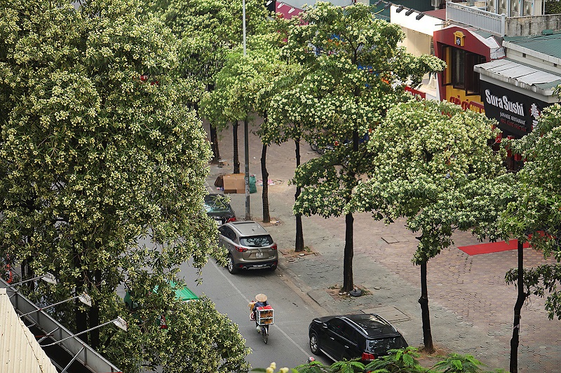 hanoi autumn