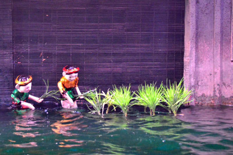 planting rice vietnam tours