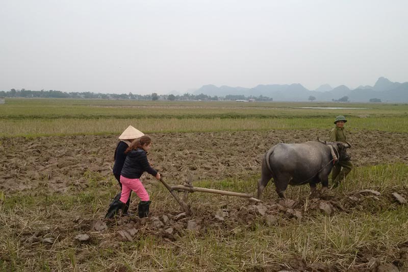 Reasons to visit Vietnam with kids Vietnam Customized Tours