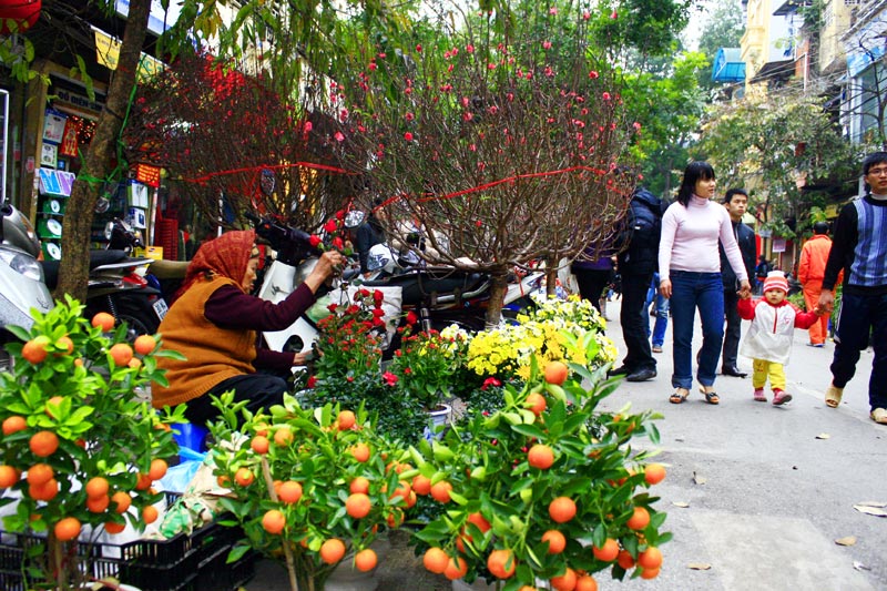 Tet Holiday Vietnam